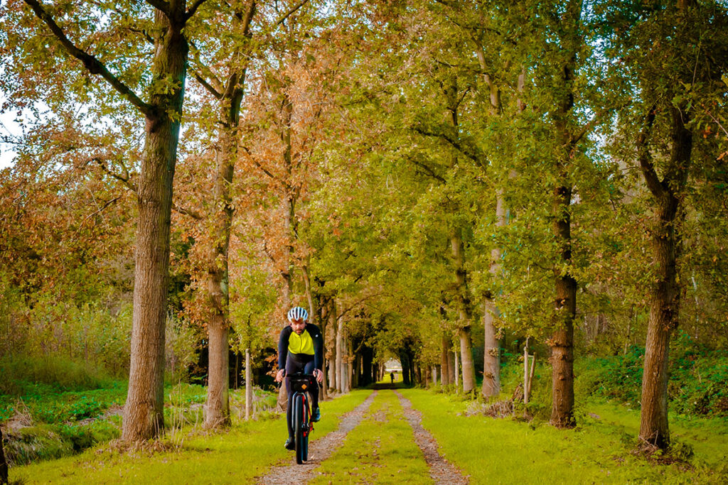 Cyclist in Leidschendammerhout